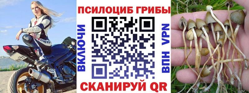 как найти закладки  Власиха  Галлюциногенные грибы Psilocybine cubensis 